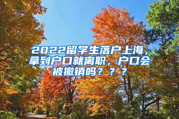 2022留学生落户上海，拿到户口就离职，户口会被撤销吗？？？