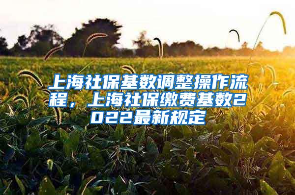 上海社保基数调整操作流程，上海社保缴费基数2022最新规定