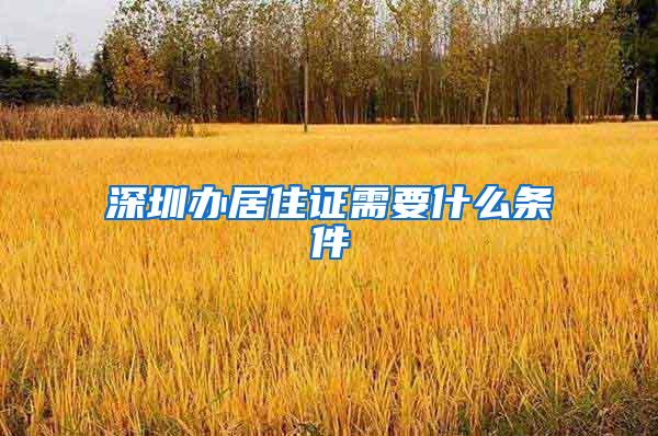 深圳办居住证需要什么条件