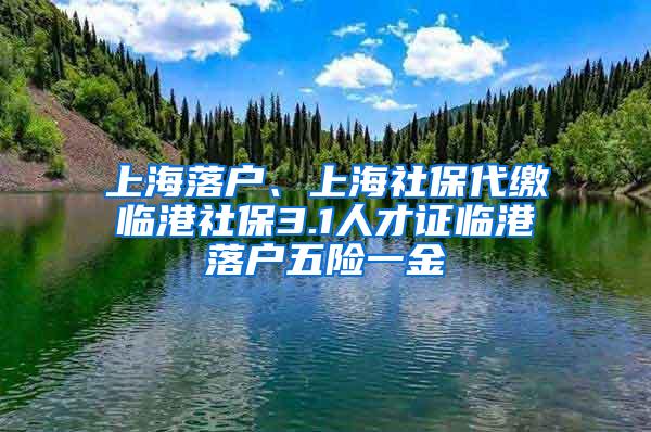 上海落户、上海社保代缴临港社保3.1人才证临港落户五险一金