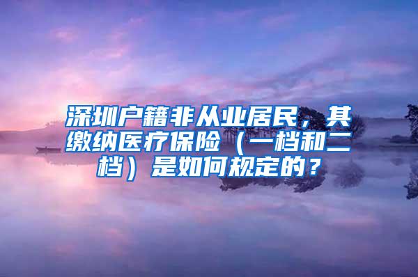 深圳户籍非从业居民，其缴纳医疗保险（一档和二档）是如何规定的？