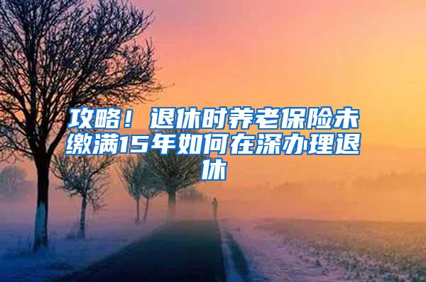 攻略！退休时养老保险未缴满15年如何在深办理退休