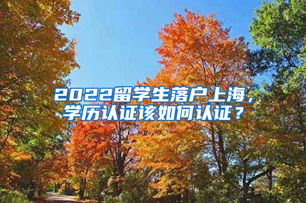 2022留学生落户上海，学历认证该如何认证？