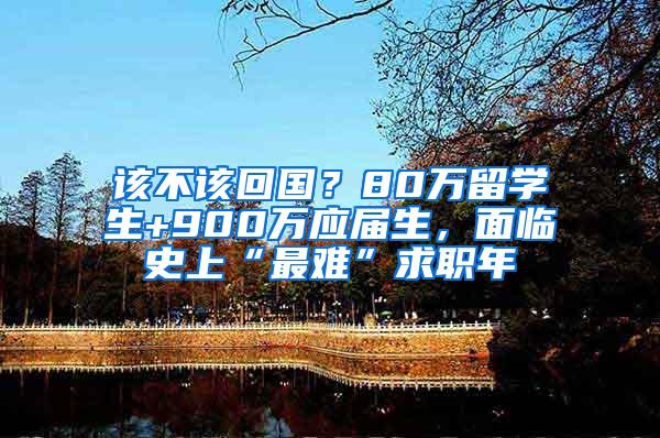 该不该回国？80万留学生+900万应届生，面临史上“最难”求职年