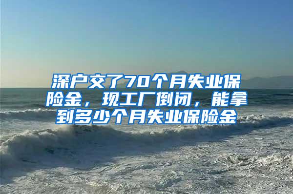 深户交了70个月失业保险金，现工厂倒闭，能拿到多少个月失业保险金