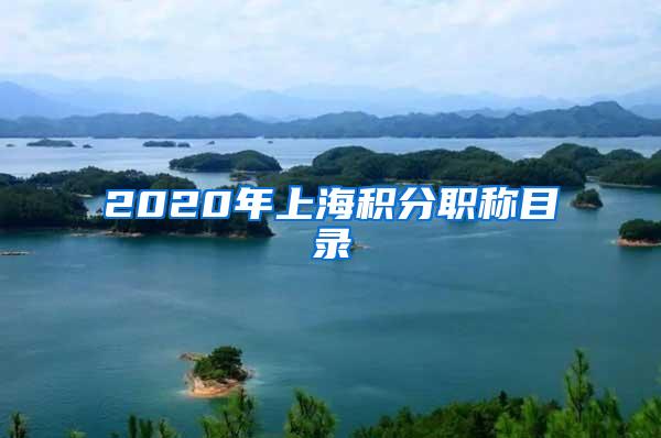 2020年上海积分职称目录