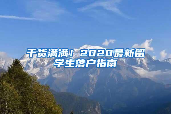 干货满满！2020最新留学生落户指南