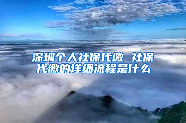 深圳个人社保代缴 社保代缴的详细流程是什么