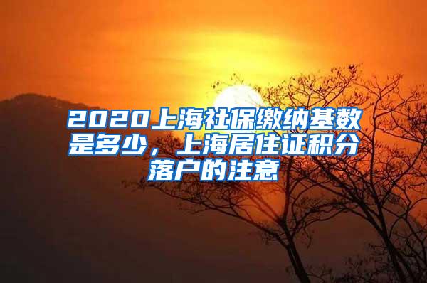 2020上海社保缴纳基数是多少，上海居住证积分落户的注意