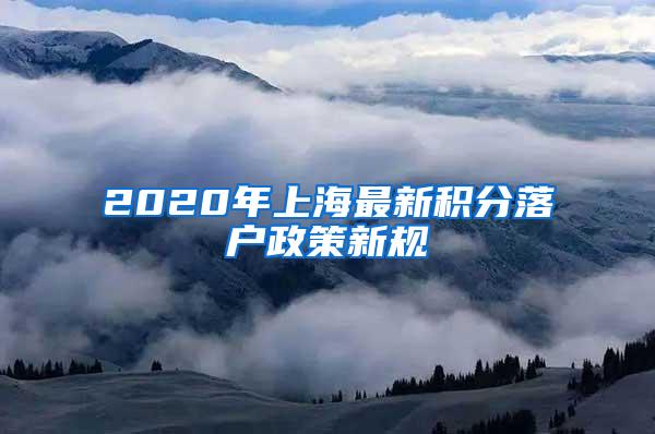 2020年上海最新积分落户政策新规