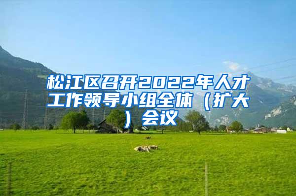 松江区召开2022年人才工作领导小组全体（扩大）会议