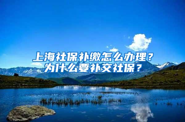 上海社保补缴怎么办理？为什么要补交社保？