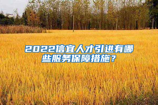 2022信宜人才引进有哪些服务保障措施？