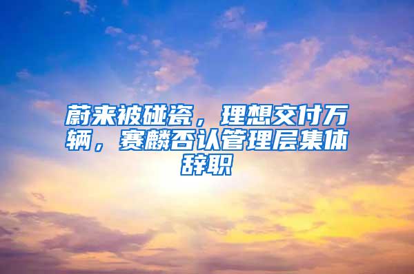 蔚来被碰瓷，理想交付万辆，赛麟否认管理层集体辞职