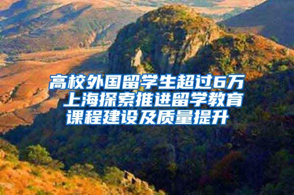 高校外国留学生超过6万 上海探索推进留学教育课程建设及质量提升