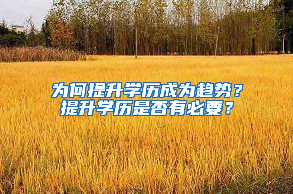 为何提升学历成为趋势？提升学历是否有必要？