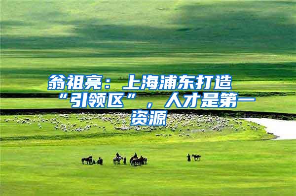 翁祖亮：上海浦东打造“引领区”，人才是第一资源