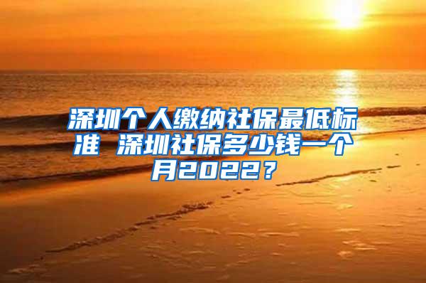 深圳个人缴纳社保最低标准 深圳社保多少钱一个月2022？