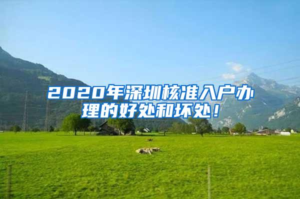 2020年深圳核准入户办理的好处和坏处！