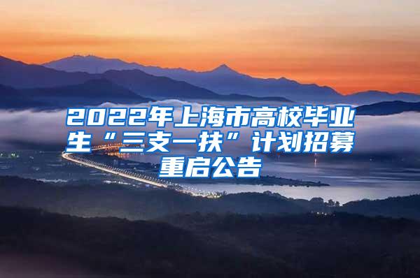 2022年上海市高校毕业生“三支一扶”计划招募重启公告