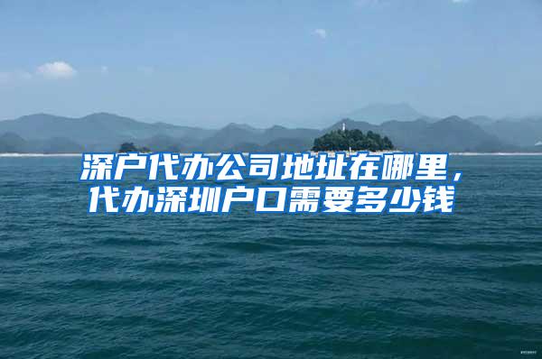 深户代办公司地址在哪里，代办深圳户口需要多少钱