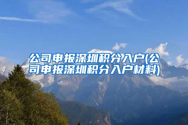 公司申报深圳积分入户(公司申报深圳积分入户材料)