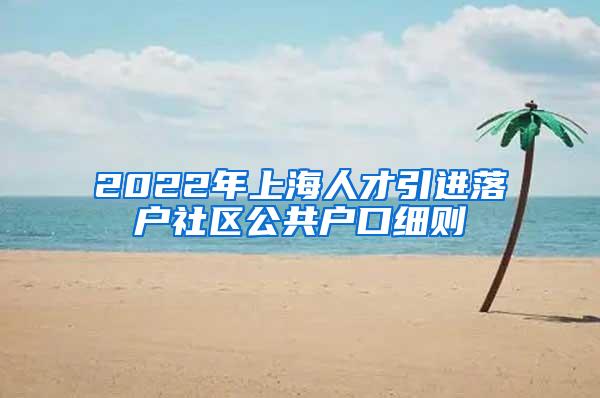 2022年上海人才引进落户社区公共户口细则