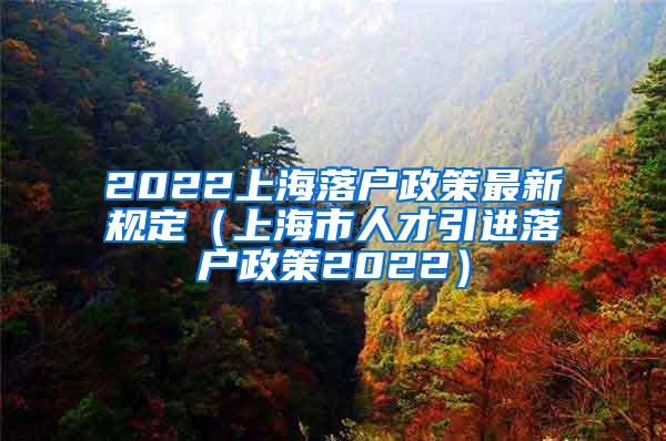 2022上海落户政策最新规定（上海市人才引进落户政策2022）