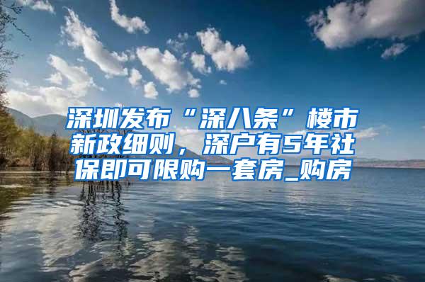 深圳发布“深八条”楼市新政细则，深户有5年社保即可限购一套房_购房