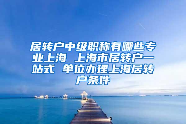 居转户中级职称有哪些专业上海 上海市居转户一站式 单位办理上海居转户条件