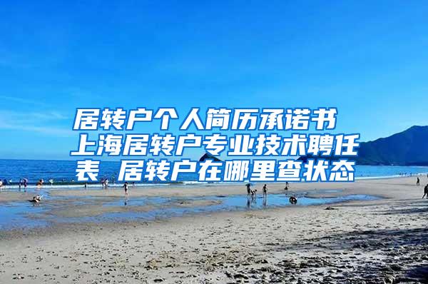 居转户个人简历承诺书 上海居转户专业技术聘任表 居转户在哪里查状态