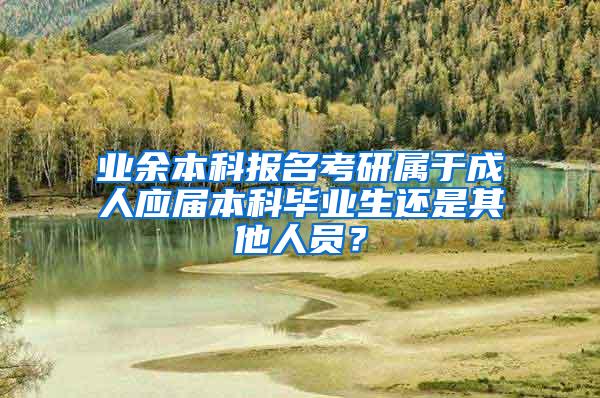 业余本科报名考研属于成人应届本科毕业生还是其他人员？