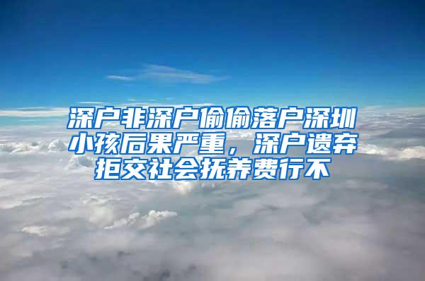 深户非深户偷偷落户深圳小孩后果严重，深户遗弃拒交社会抚养费行不