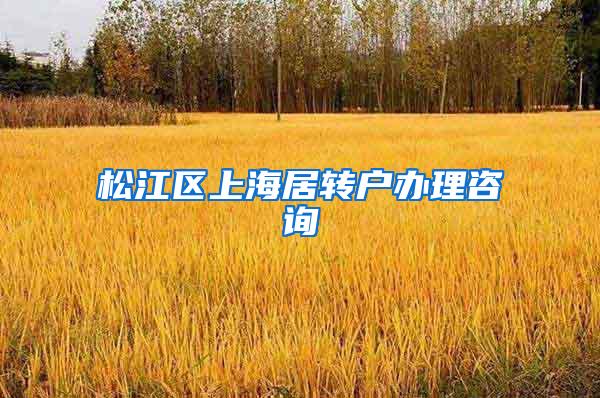 松江区上海居转户办理咨询
