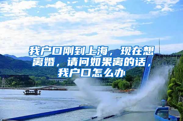 我户口刚到上海，现在想离婚，请问如果离的话，我户口怎么办