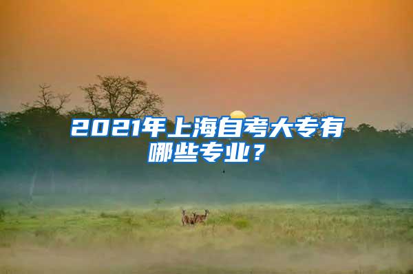 2021年上海自考大专有哪些专业？