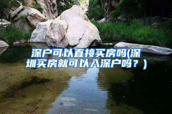 深户可以直接买房吗(深圳买房就可以入深户吗？)