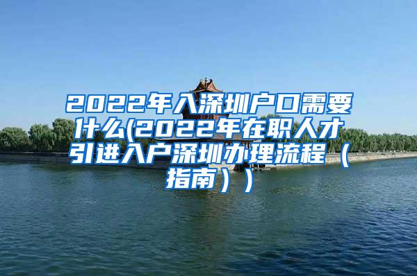 2022年入深圳户口需要什么(2022年在职人才引进入户深圳办理流程（指南）)