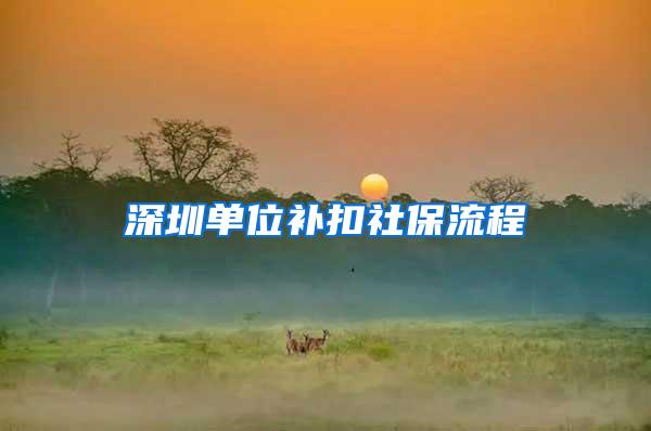 深圳单位补扣社保流程