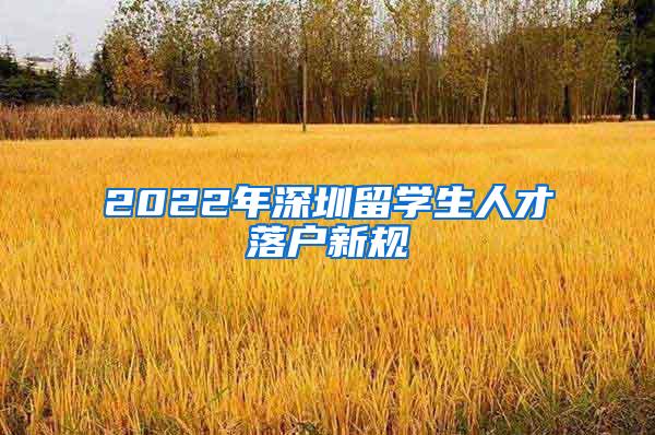 2022年深圳留学生人才落户新规