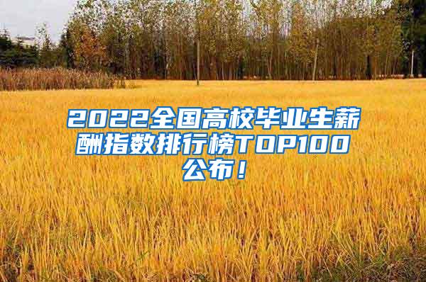2022全国高校毕业生薪酬指数排行榜TOP100公布！