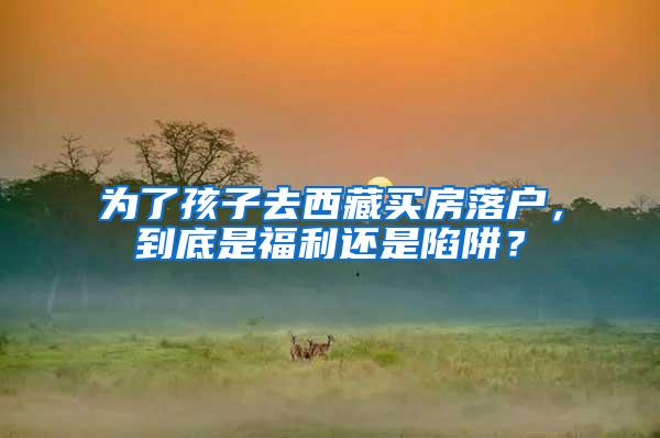 为了孩子去西藏买房落户，到底是福利还是陷阱？