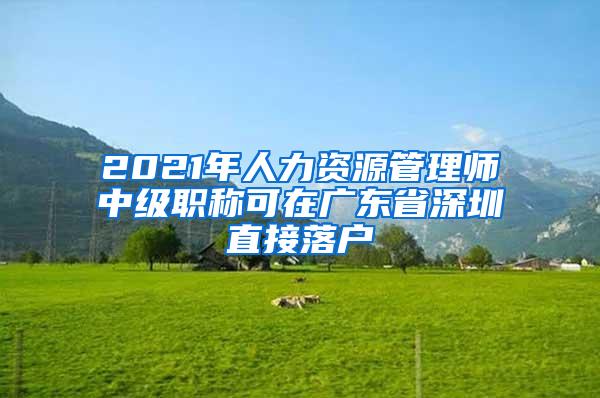 2021年人力资源管理师中级职称可在广东省深圳直接落户