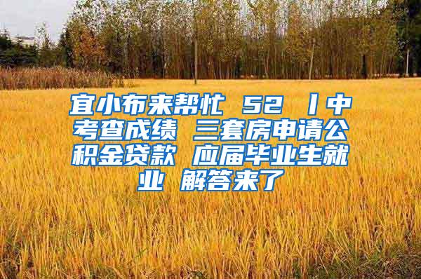 宜小布来帮忙 52 丨中考查成绩 三套房申请公积金贷款 应届毕业生就业 解答来了