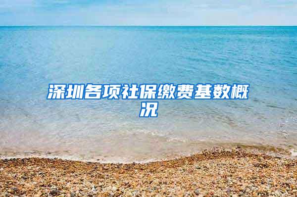 深圳各项社保缴费基数概况