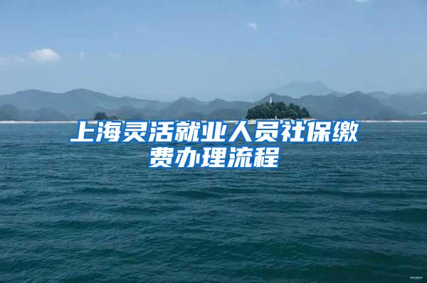 上海灵活就业人员社保缴费办理流程