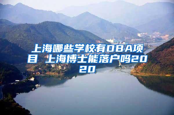 上海哪些学校有DBA项目 上海博士能落户吗2020