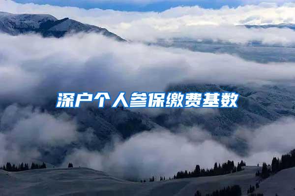 深户个人参保缴费基数
