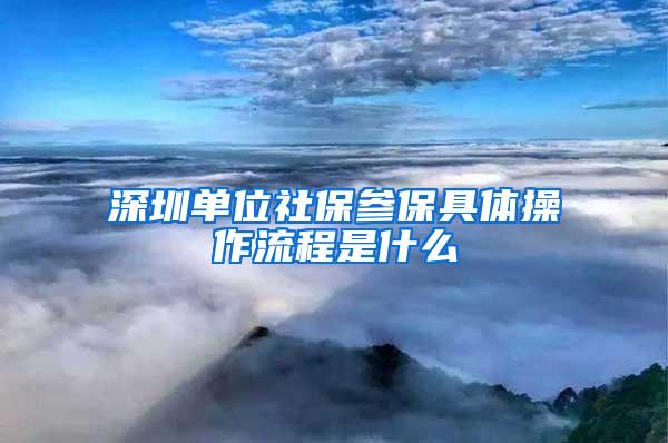 深圳单位社保参保具体操作流程是什么