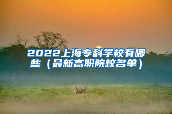 2022上海专科学校有哪些（最新高职院校名单）